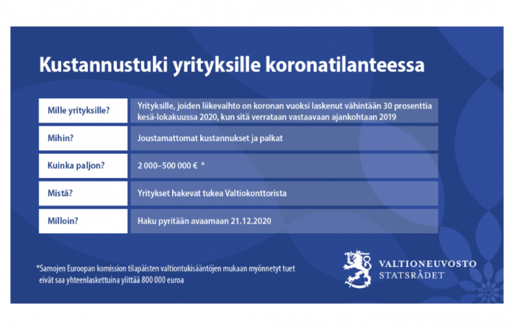 Kuva: Valtioneuvosto. Grafiikka kustannustuesta.