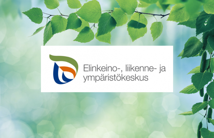 Koivunoksa ja ELY-keskuksen logo.