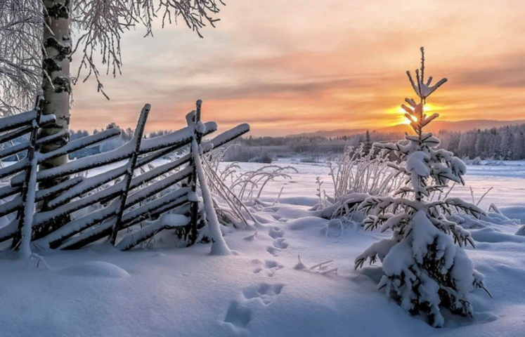 Auringon värjäämä taivas lumisessa maisemassa. 