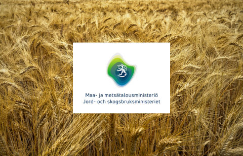 Kypsää viljaa sekä maa- ja metsätalousministeriön logo.